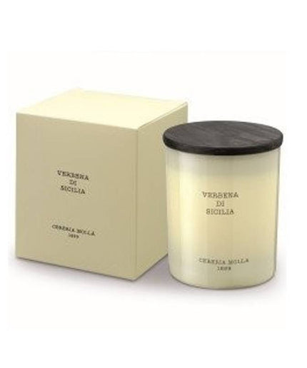 Vegan Fragrance Sticks - Eucalyptus & Peppermint