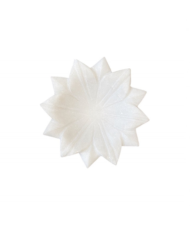 Lotus marmorfad 15 cm