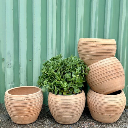 Collection image for: Urtepotter