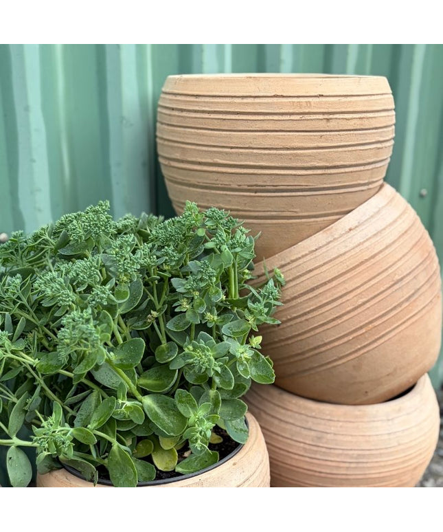 Lerkrukke