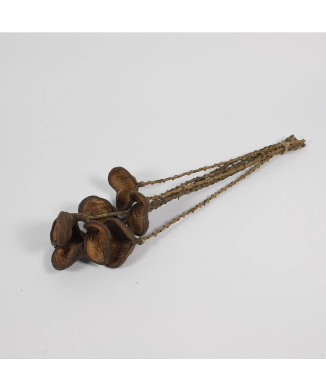 Mandelnød 60 cm