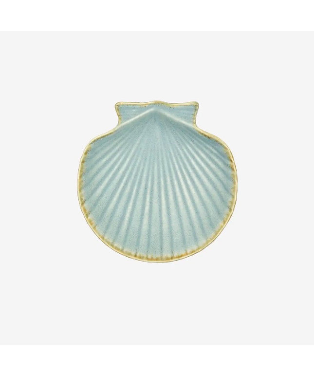 Scallop Shell Light Blue