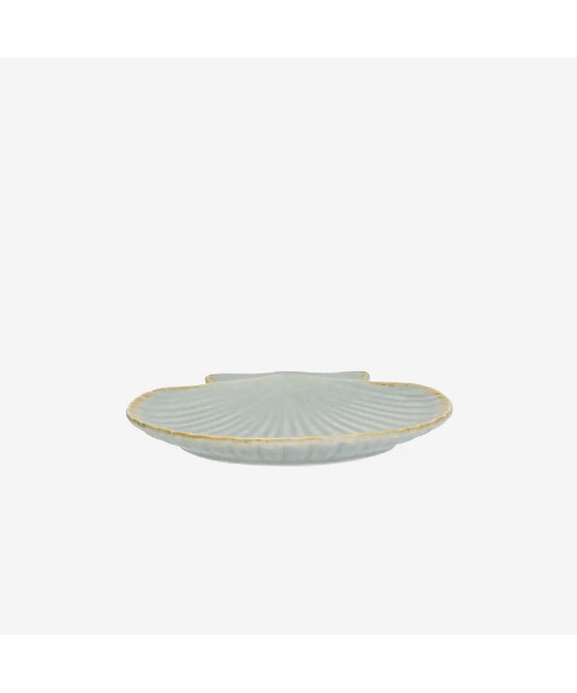 Scallop Shell Light Blue