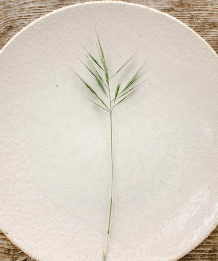 Dinner plate white Wabi