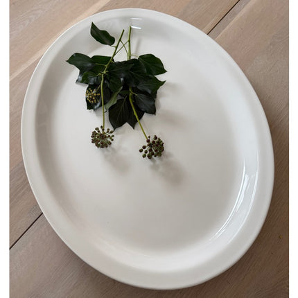 Collection image for: Skåle & Fade