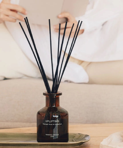 Vegan Fragrance Sticks - Eucalyptus &amp; Peppermint