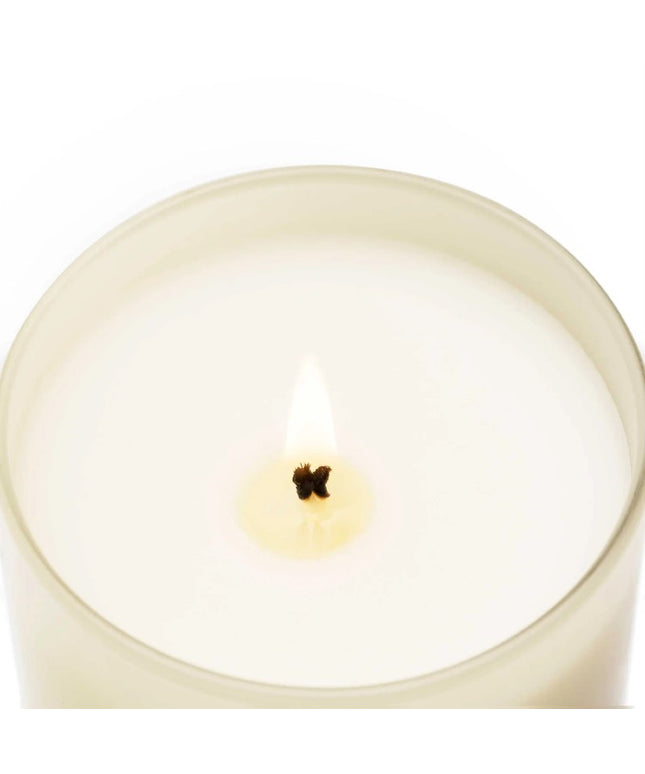 Vegan Fragrance Sticks - Eucalyptus &amp; Peppermint