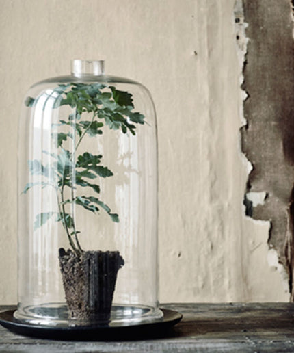Glas lanterne
